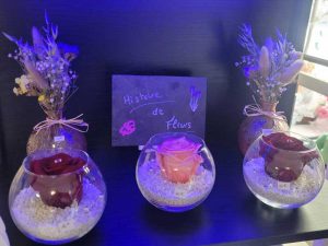 histoire-de-fleurs-1
