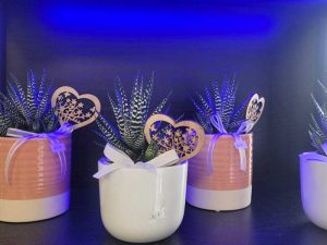 histoire-de-fleurs-2